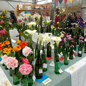 October 2024 - some of the lovely blooms at the Flinders Island Show.